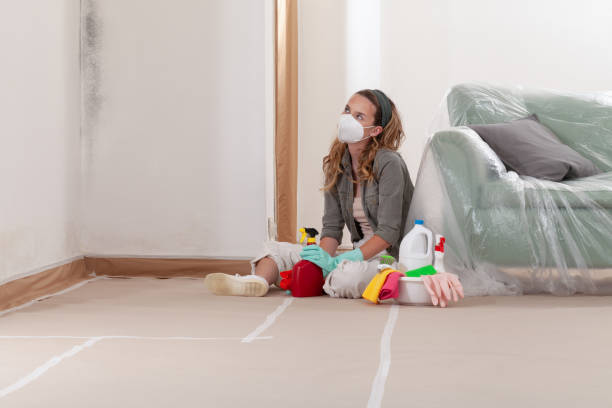 Reliable Mold Remediation contractor in Victoria, MN by WQB Mold Removal